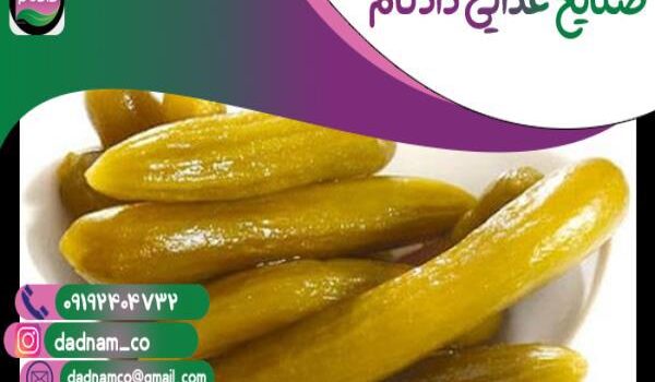 فروش عمده خیارشور همدان