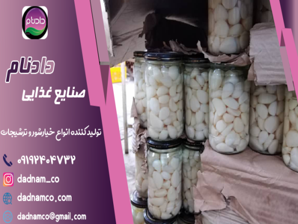 فروش عمده خیارشور همدان