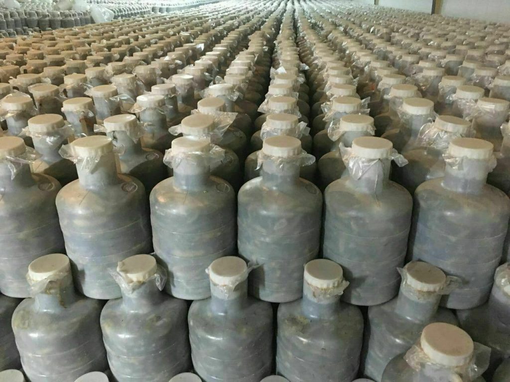 صادرات خیارشور به عراق