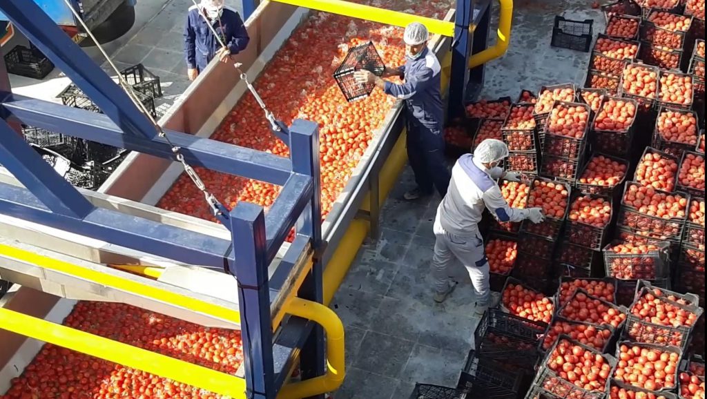 قیمت رب گوجه فرنگی صادراتی