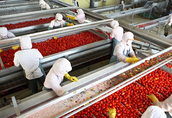 بازار خرید رب گوجه فرنگی شیشه ای