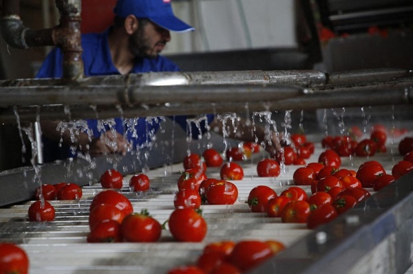 صادرات رب گوجه فرنگی عمده