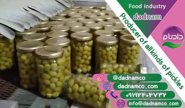 صادرات زیتون شور باهسته شیشه ای