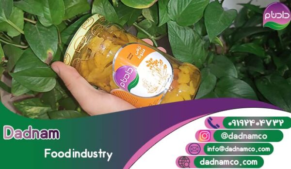 ترشی مخلوط پت به صورت عمده