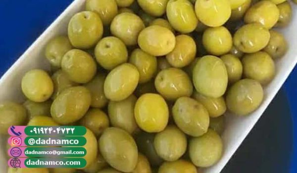 طرز تلخی گیری زیتون + آموزش قدم به قدم