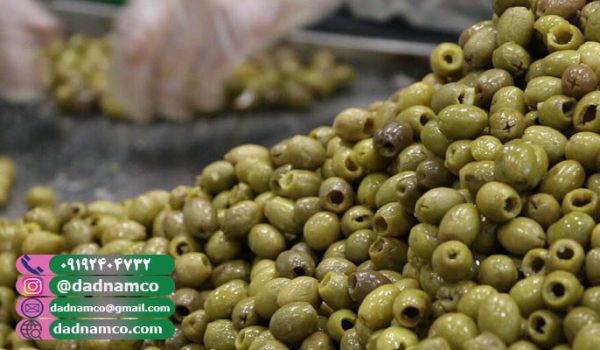 عمده فروشی زیتون در زنجان + قیمت