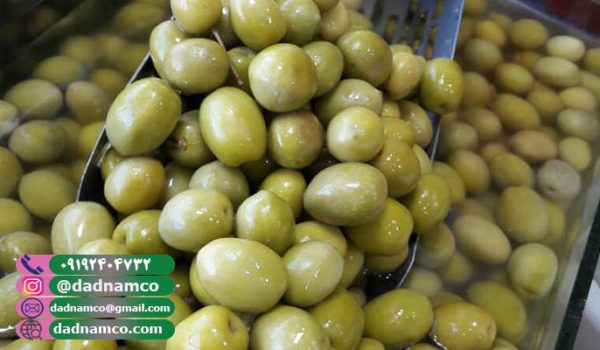 مرکز فروش زیتون در طارم ( خرید مستقیم)