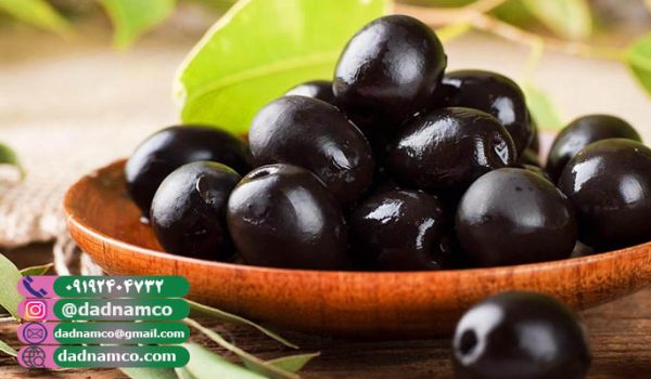 قیمت زیتون سیاه + خرید و فروش عمده