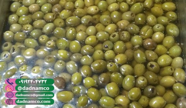 قیمت زیتون سایز سوپر ویژه عمده + (بشکه ای، حلب، شیشه)