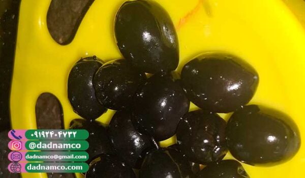 قیمت حلب زیتون سیاه 3 کیلویی