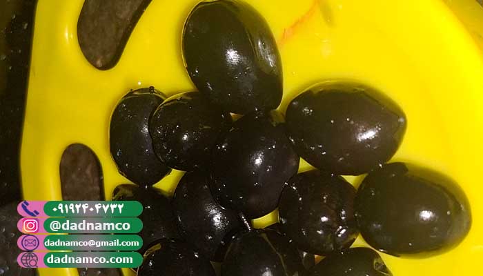 قیمت حلب زیتون سیاه 3 کیلویی