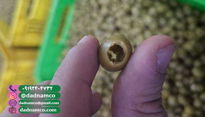 قیمت زیتون بدون هسته فله (بشکه ای)