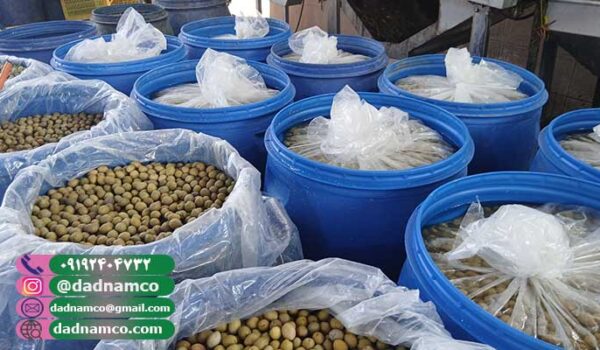 صادرات زیتون به عمان + قیمت زیتون شور