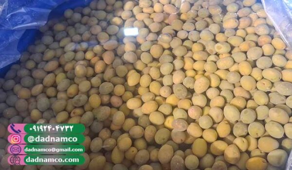 زیتون شور دبه ای به صورت عمده