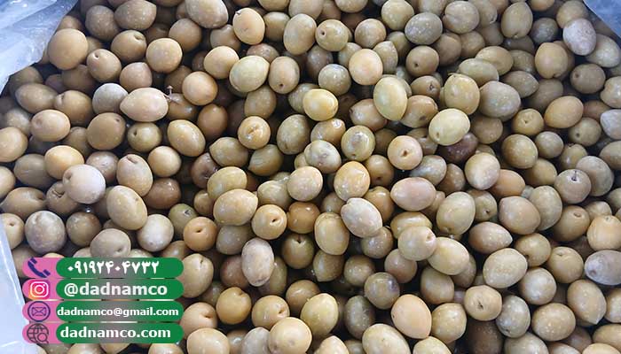 خرید و قیمت زیتون طارم از کارخانه