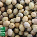 قیمت زیتون طارم عمده (tarom)