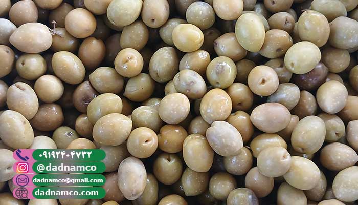 قیمت زیتون طارم عمده (tarom)